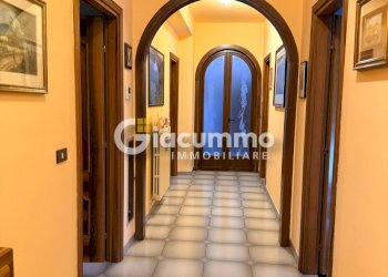 comp-pietragll24.jpg - Casa indipendente Via Madrd, Potenza - foto 12