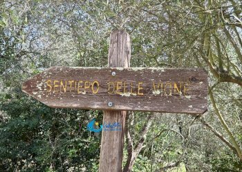 Independent house Borgata Ricci, Ranzo - photo 2