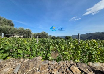 Independent house Borgata Ricci, Ranzo - photo 43