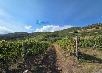 Independent house Borgata Ricci, Ranzo - photo 44