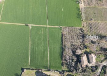 Villa Formigine - foto 19