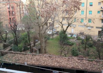 Four-room apartment Bologna (neighborhood Bolognina) - photo 10