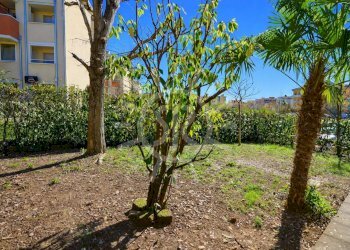 Trilocale Ozzano dell'Emilia - foto 15