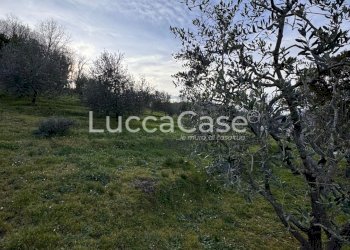 Semi-detached house Lucca - photo 42