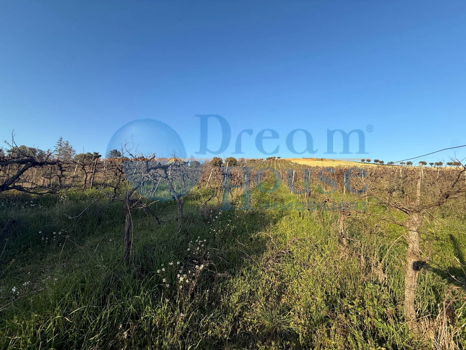 Foto 1 - Terreno agricolo via piercecchi, Giulianova - foto 1