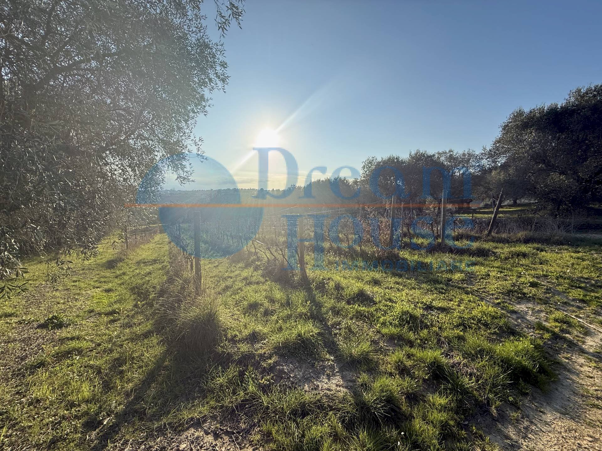 Foto 2 - Terreno agricolo via piercecchi, Giulianova - foto 2