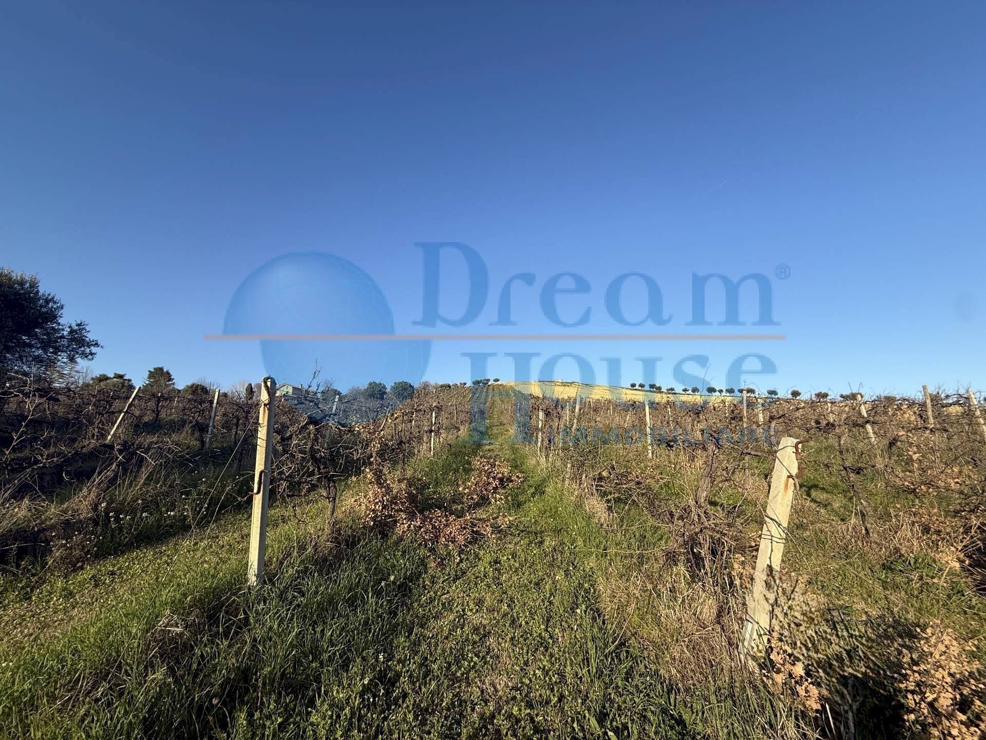 Foto 3 - Terreno agricolo via piercecchi, Giulianova - foto 3