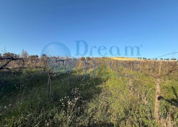 Foto 1 - Terreno agricolo via piercecchi, Giulianova - foto 1