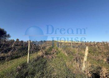 Foto 3 - Terreno agricolo via piercecchi, Giulianova - foto 3