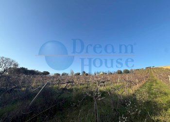 Foto 5 - Terreno agricolo via piercecchi, Giulianova - foto 5