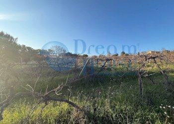 Foto 7 - Terreno agricolo via piercecchi, Giulianova - foto 7