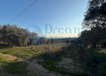 Foto 8 - Terreno agricolo via piercecchi, Giulianova - foto 8