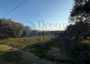 Foto 9 - Terreno agricolo via piercecchi, Giulianova - foto 9