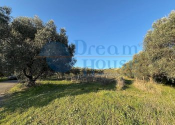 Foto 10 - Terreno agricolo via piercecchi, Giulianova - foto 10