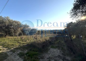 Foto 11 - Terreno agricolo via piercecchi, Giulianova - foto 11