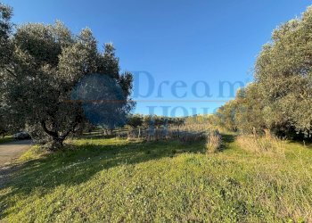 Foto 12 - Terreno agricolo via piercecchi, Giulianova - foto 12