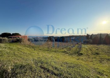 Foto 13 - Terreno agricolo via piercecchi, Giulianova - foto 13