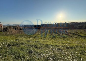 Foto 14 - Terreno agricolo via piercecchi, Giulianova - foto 14