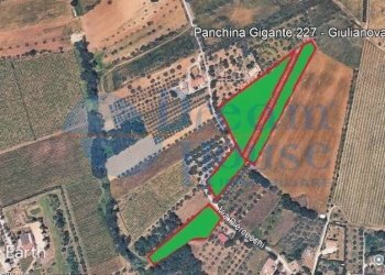 Foto 16 - Terreno agricolo via piercecchi, Giulianova - foto 16