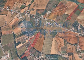 Foto 18 - Terreno agricolo via piercecchi, Giulianova - foto 18