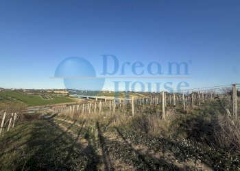 Foto 1 - Terreno agricolo Contrada Colle Santa Maria, Mosciano Sant'Angelo - foto 1