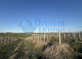 Foto 2 - Terreno agricolo Contrada Colle Santa Maria, Mosciano Sant'Angelo - foto 2