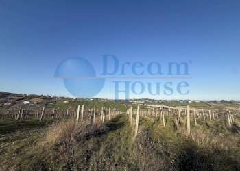 Foto 3 - Terreno agricolo Contrada Colle Santa Maria, Mosciano Sant'Angelo - foto 3