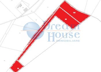 Foto 4 - Terreno agricolo Contrada Colle Santa Maria, Mosciano Sant'Angelo - foto 4