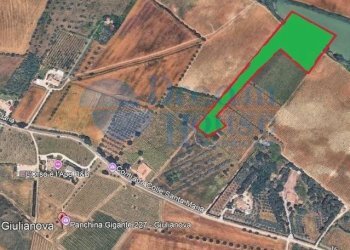 Foto 5 - Terreno agricolo Contrada Colle Santa Maria, Mosciano Sant'Angelo - foto 5