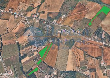 Foto 6 - Terreno agricolo Contrada Colle Santa Maria, Mosciano Sant'Angelo - foto 6