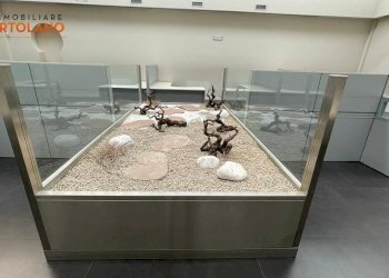 Foto 2 - Locale Commerciale Via dell'Industria
 
3, Ronchi dei Legionari - foto 2