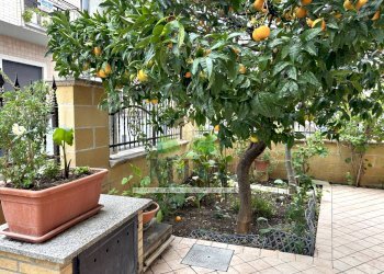 Foto 60 - Appartamento via R. San Marino, Alba Adriatica - foto 60