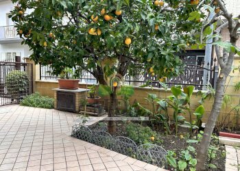 Foto 62 - Appartamento via R. San Marino, Alba Adriatica - foto 62