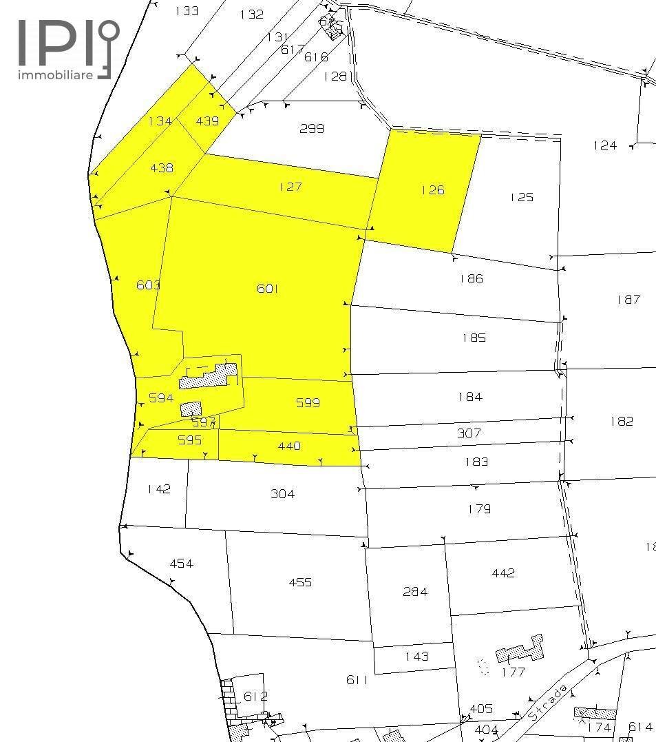Foto 58 - Rustico bionzo, Costigliole d'Asti - planimetria 1