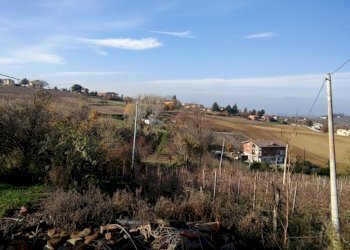 Foto 35 - Rustico bionzo, Costigliole d'Asti - foto 35