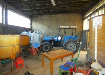 Foto 48 - Rustico bionzo, Costigliole d'Asti - foto 48