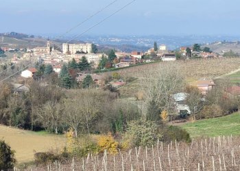 Foto 54 - Rustico bionzo, Costigliole d'Asti - foto 54