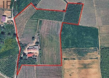 Foto 59 - Rustic bionzo, Costigliole d'Asti - photo 58