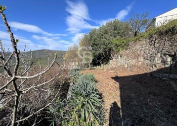 Foto 40 - Semi-detached house Via Ripetta
 
5, Lustra - photo 40