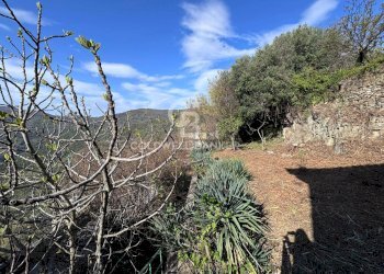 Foto 41 - Semi-detached house Via Ripetta
 
5, Lustra - photo 41