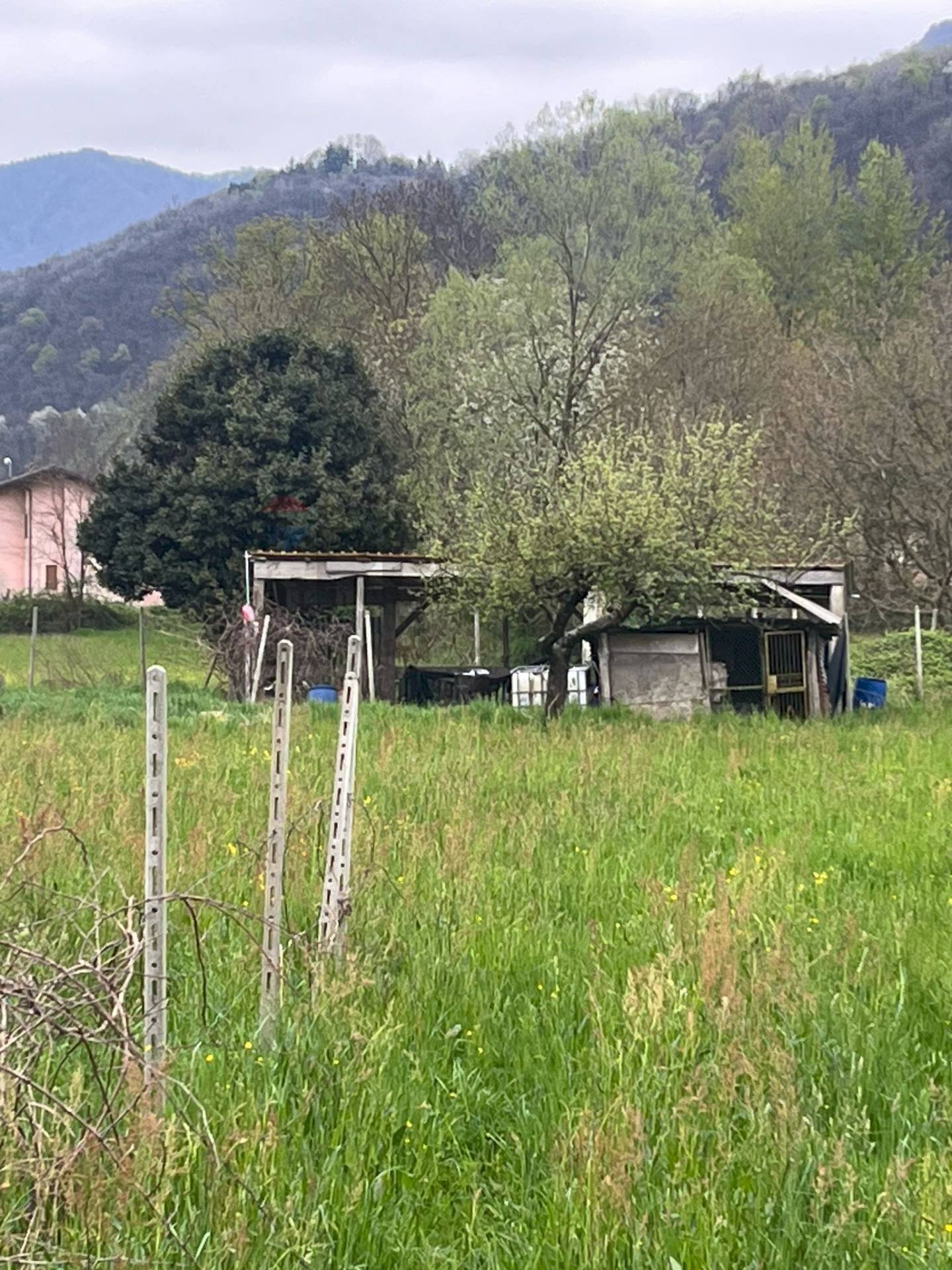 Giardino - Agricultural land Luino - photo 2