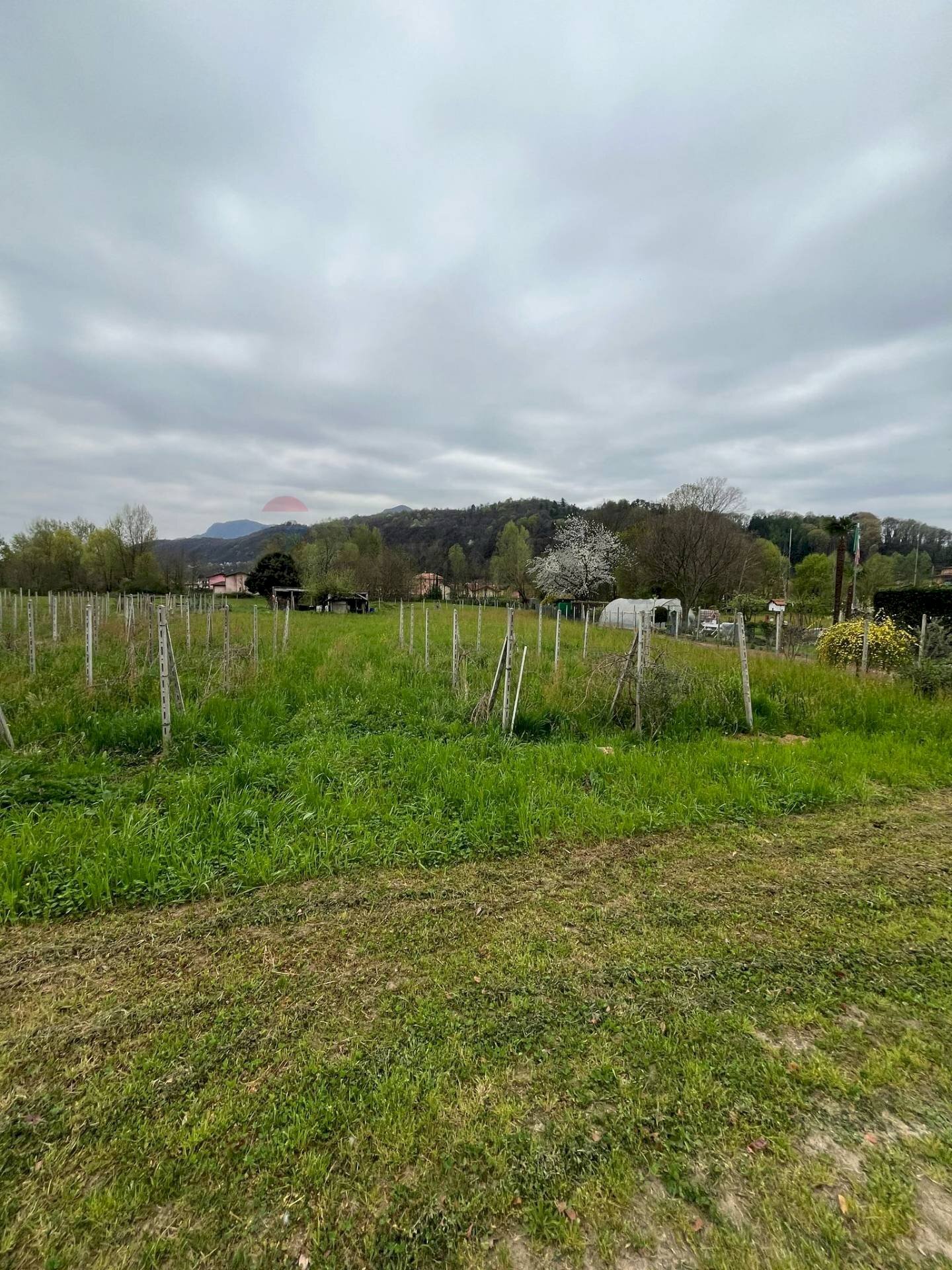 Vista delle montagne - Agricultural land Luino - photo 3
