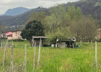 Giardino - Agricultural land Luino - photo 5