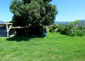 Giardino - Agricultural land Luino - photo 11