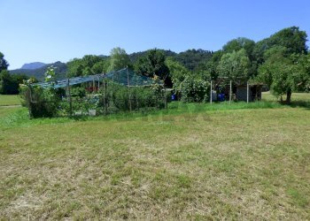 Giardino - Agricultural land Luino - photo 13