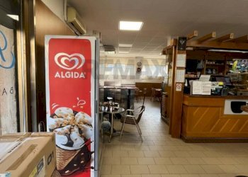 Cucina - Bar Tavola Calda - Fredda Luino - foto 5