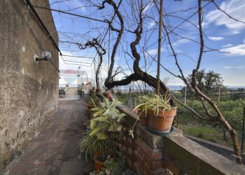 Giardino - Casa indipendente Via Nunziata Piedimonte
 
267, Mascali - foto 18