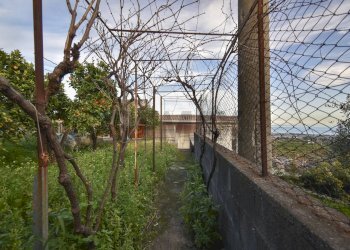 Giardino - Casa indipendente Via Nunziata Piedimonte
 
267, Mascali - foto 30