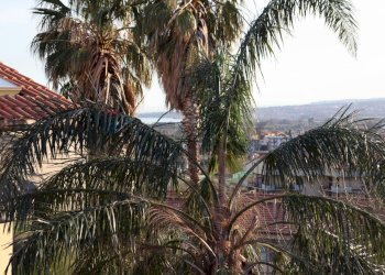 Vista delle montagne - Appartamento Via San Biagio
 
snc, Fiumefreddo di Sicilia - foto 17