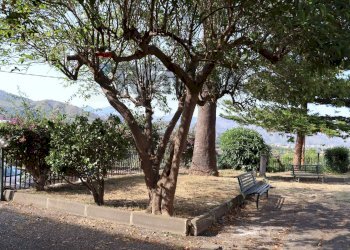 Giardino - Appartamento Via San Biagio
 
snc, Fiumefreddo di Sicilia - foto 31